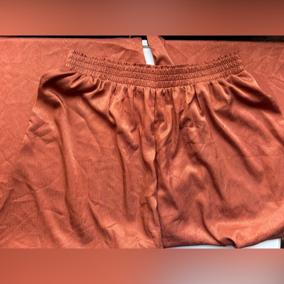 Alison New York Rust Satin Pants - Picture 3 of 4